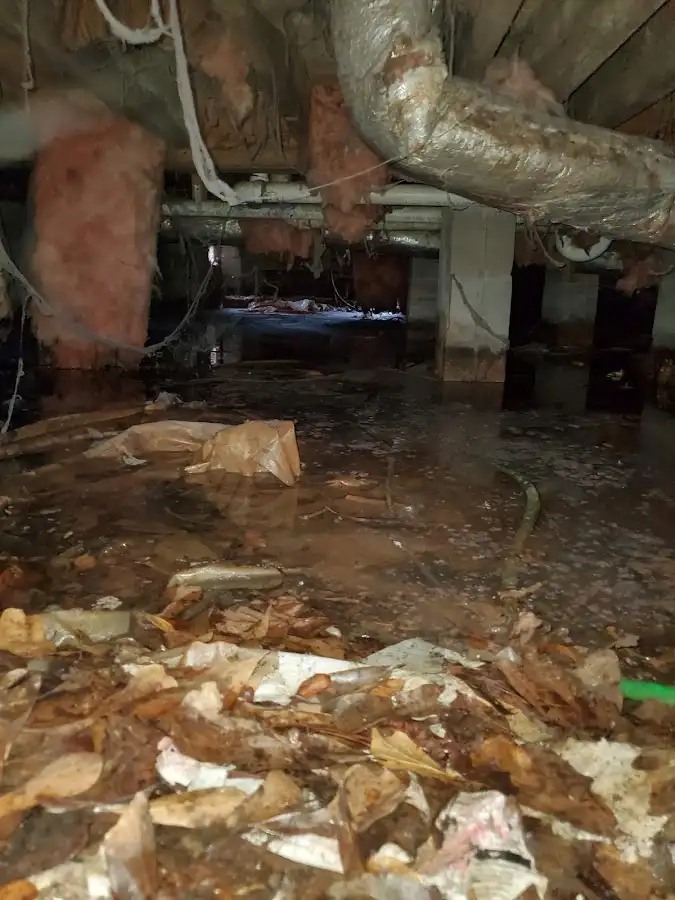 Crawl space flood assessment for Commercial Water Damage Restoration in Cullman