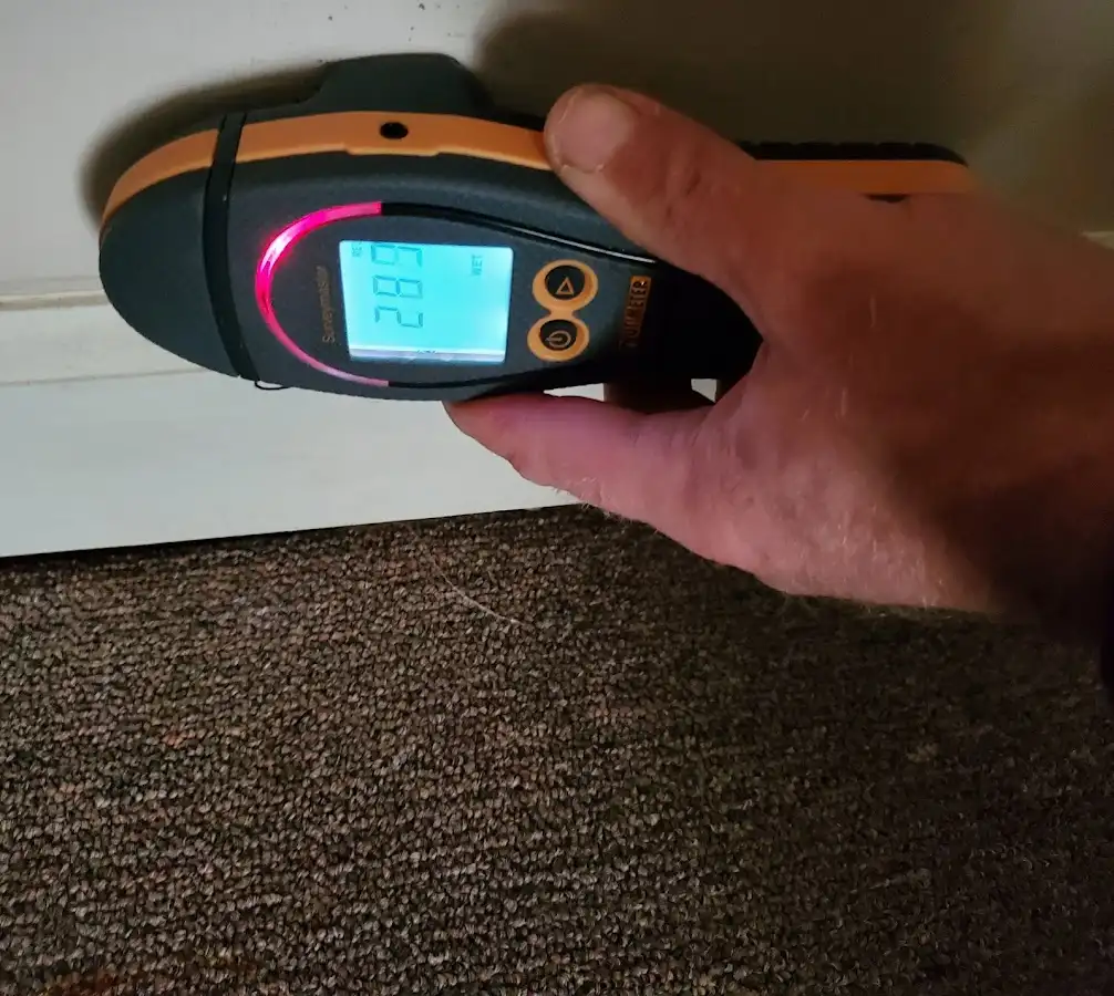 Moisture detection at baseboard during Sewage Cleanup & Sanitation in Cullman